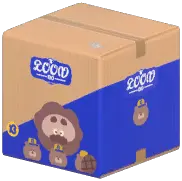 Carton Box