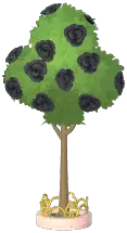 Club Rose Tree