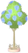 Club Rose Tree