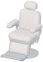 Barber Chair
