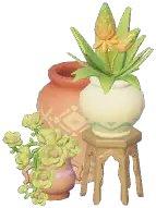 Oasis Terracotta Pot