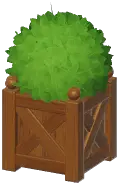 Outdoor Planter