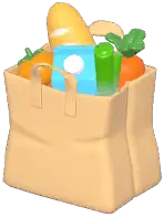 Paper Shopping Bag