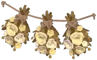 倒挂花束组合