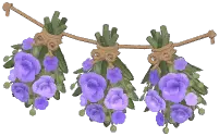倒挂花束组合