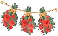 倒挂花束组合