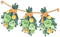 倒挂花束组合