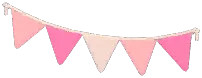 Pennant Banner