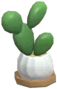 Potted Cactus