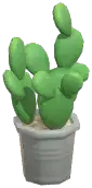 Potted Cactus