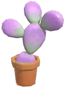 Potted Cactus