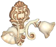 Farmhouse Double-Headed Flower Wall Lamp