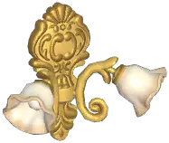 Farmhouse Double-Headed Flower Wall Lamp