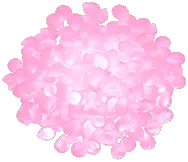 Large Rose Petal Pile