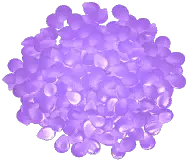 Large Rose Petal Pile