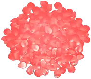 Large Rose Petal Pile