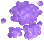Small Rose Petal Pile