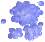 Small Rose Petal Pile