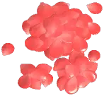 Small Rose Petal Pile