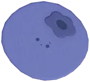 Blueberry Rug