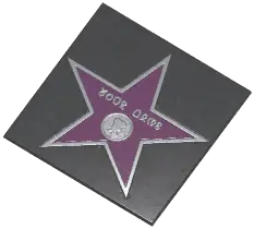 Starlight Avenue Mat