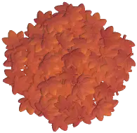 Eerie Maple Rug