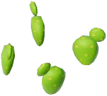 Prickly Pear Plant