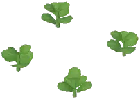 Strawberry Plant