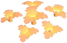 Sunglow Chrysanthemum