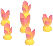 Sunglow Hyacinth