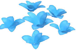 Snow Lily