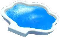 Spirulina Powder