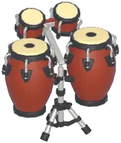 Conga