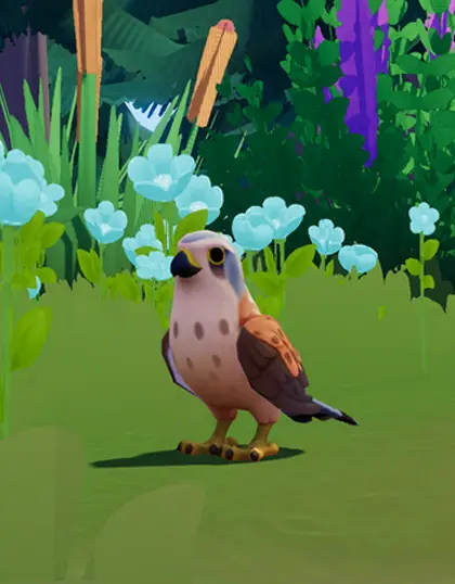 Birdwatching Lover