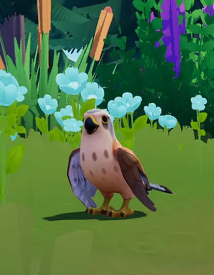 Birdwatching Lover