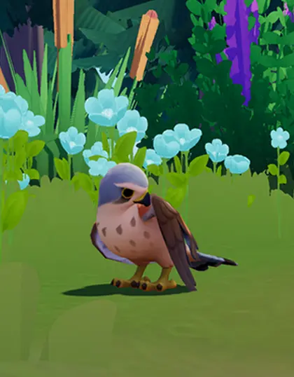 Birdwatching Lover