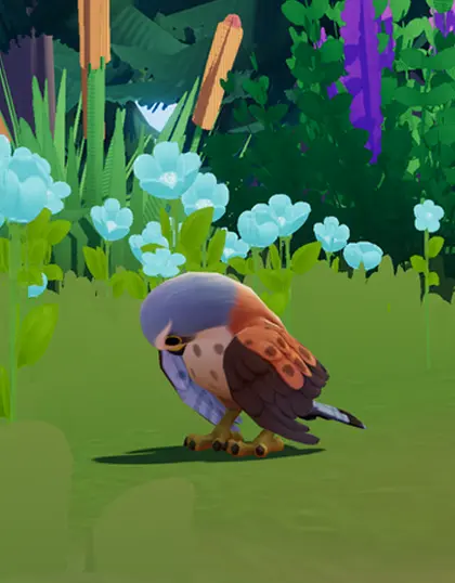 Birdwatching Lover