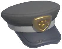 Police Hat