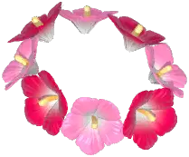 Hibiscus Headwear