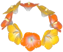 Hibiscus Headwear