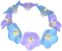 Hibiscus Headwear