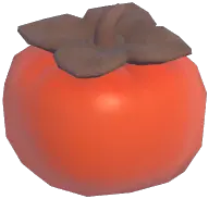 Persimmon Headwear