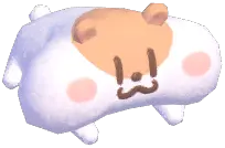 猫套装