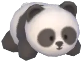 Panda Headwear