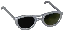 Simplistic Sunglasses