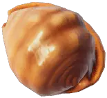 マンボウガイ