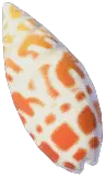 チョウセンフデ