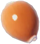 ナンヨウダカラ