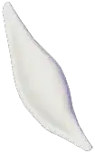 ツリフネキヌヅツミ
