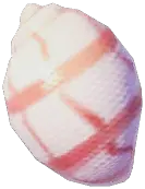 Red-lined Bubble Snail